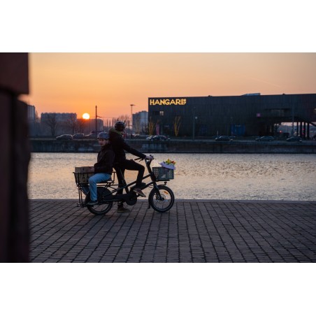 MOUSTACHE LUNDI 20 CARGO 1