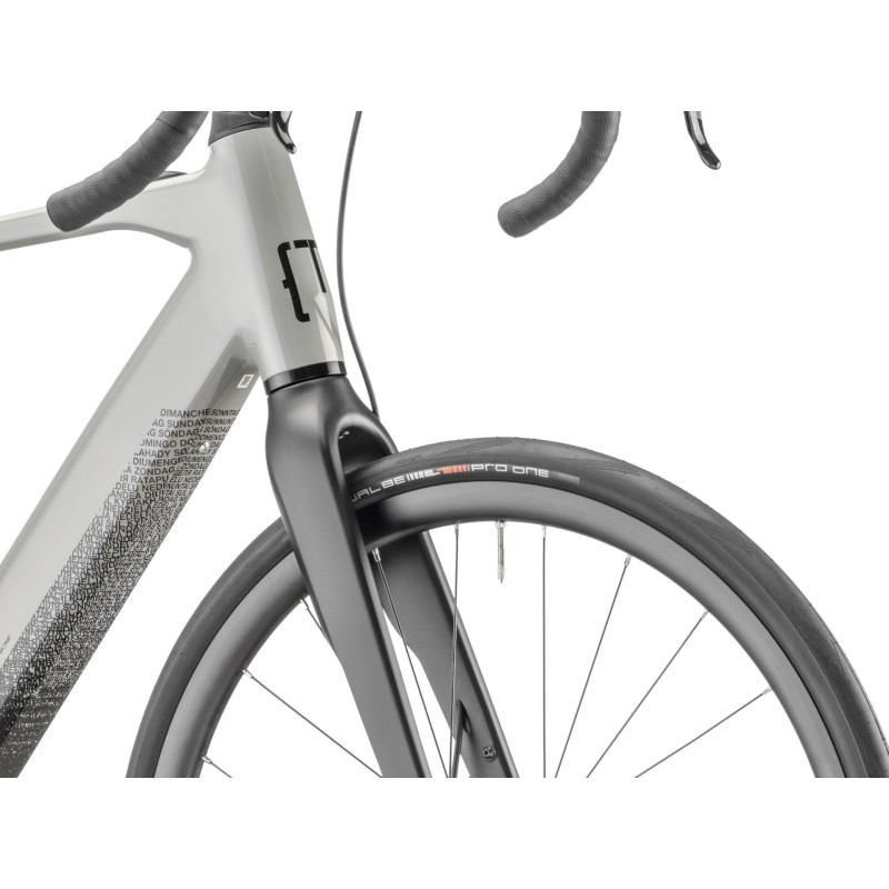 MOUSTACHE DIMANCHE 28.4 2025