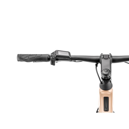 MOUSTACHE DIMANCHE 28.2 OPEN 2024