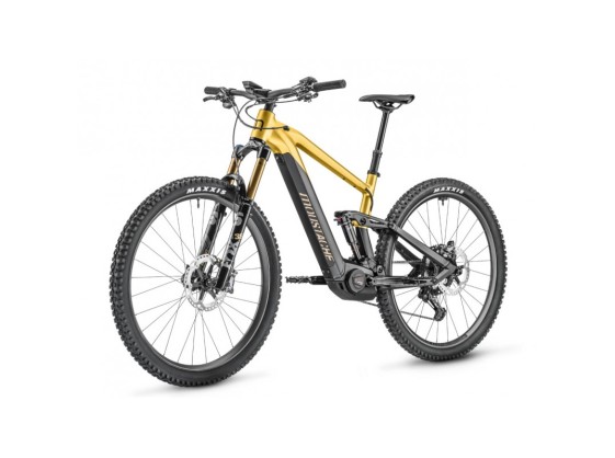 MOUSTACHE SAMEDI 29 TRAIL 11 2023 • 750wh