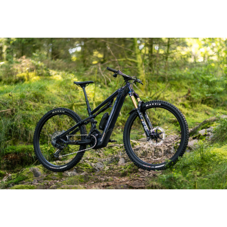 MOUSTACHE GAME 150.8 2025